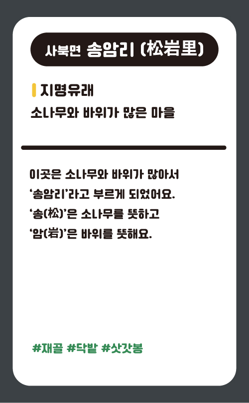 송암리